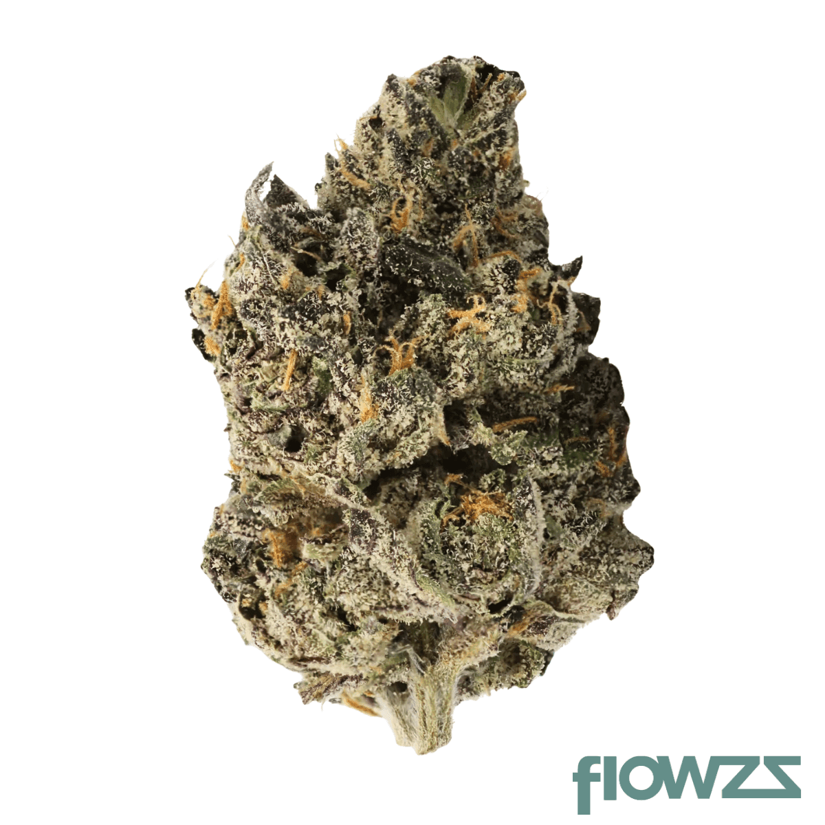 apex-gep-pt-29-1-gelato-poison