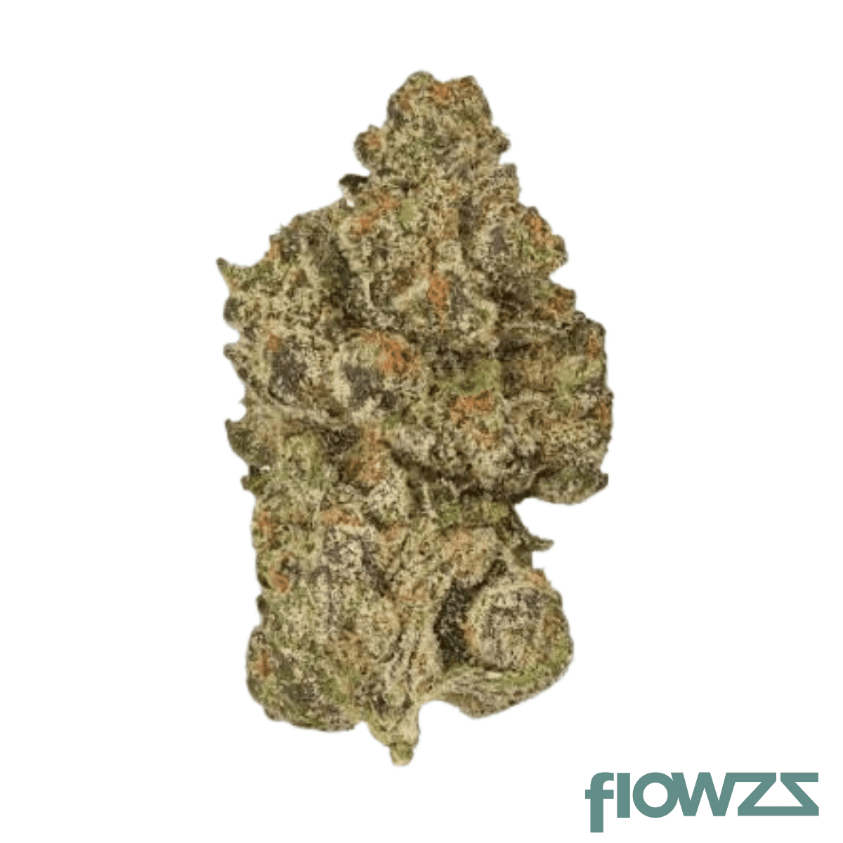 hi-society-ssh-30-1-sunset-sherbet