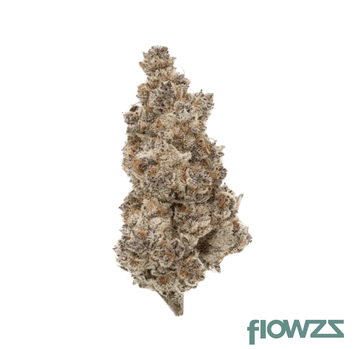 breezy-boutique-bb-28-1-blockberry