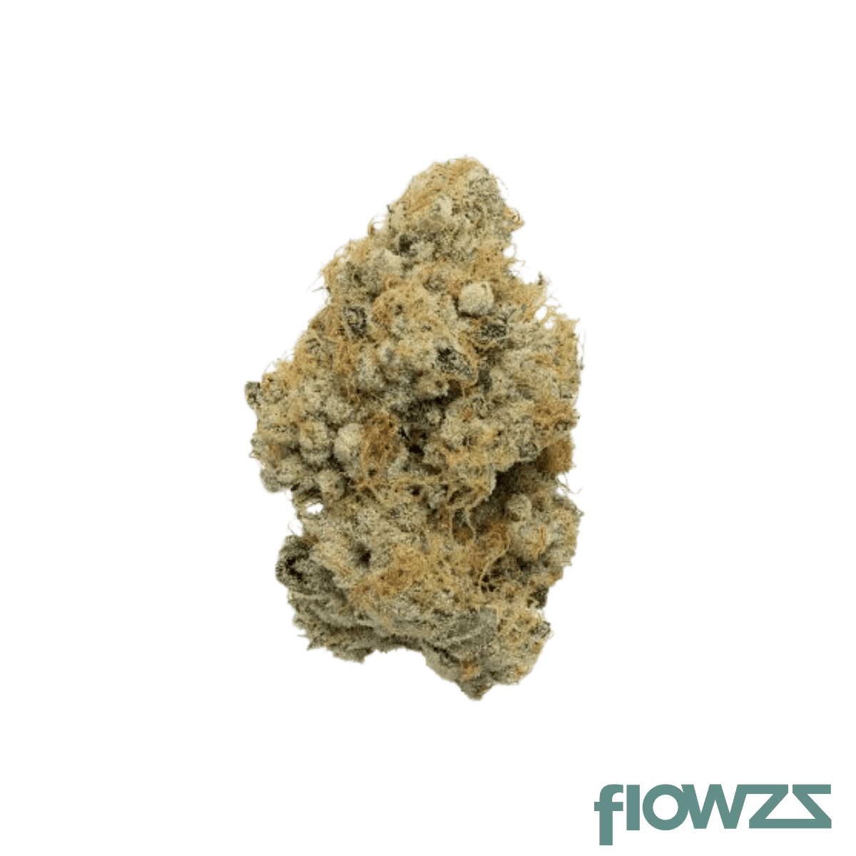 hi-society-ck-28-1-creamy-kush