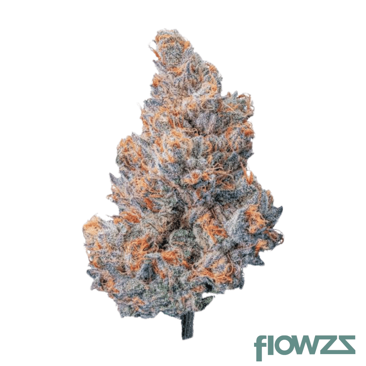 hi-society-wh-28-1-wedding-haze