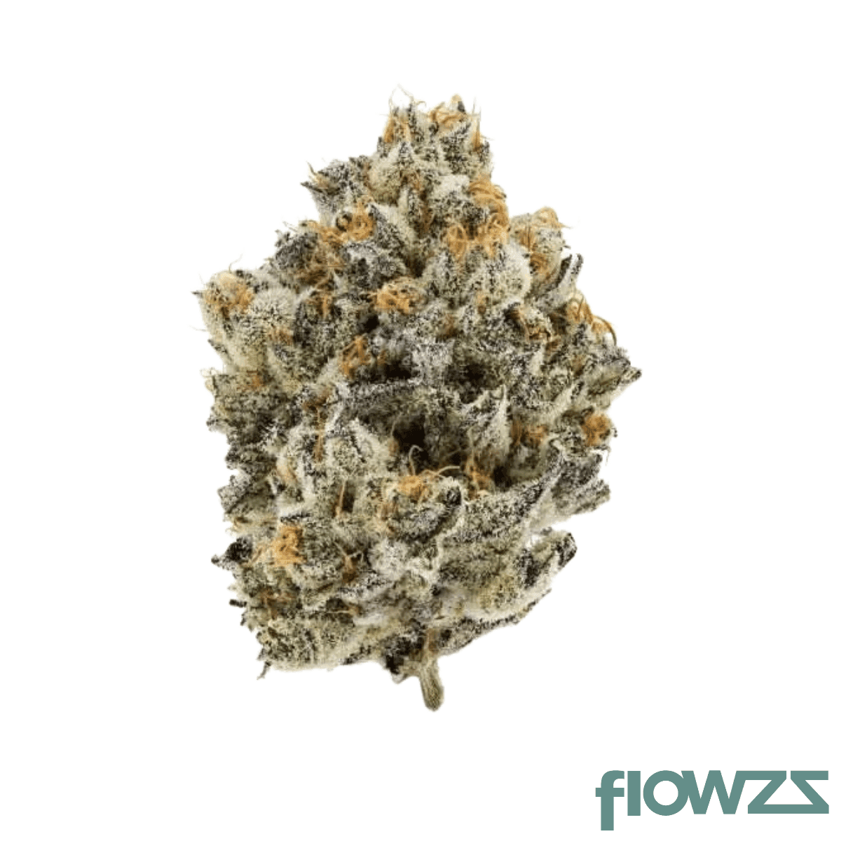 demecan-core-cki-29-01-pink-cookies