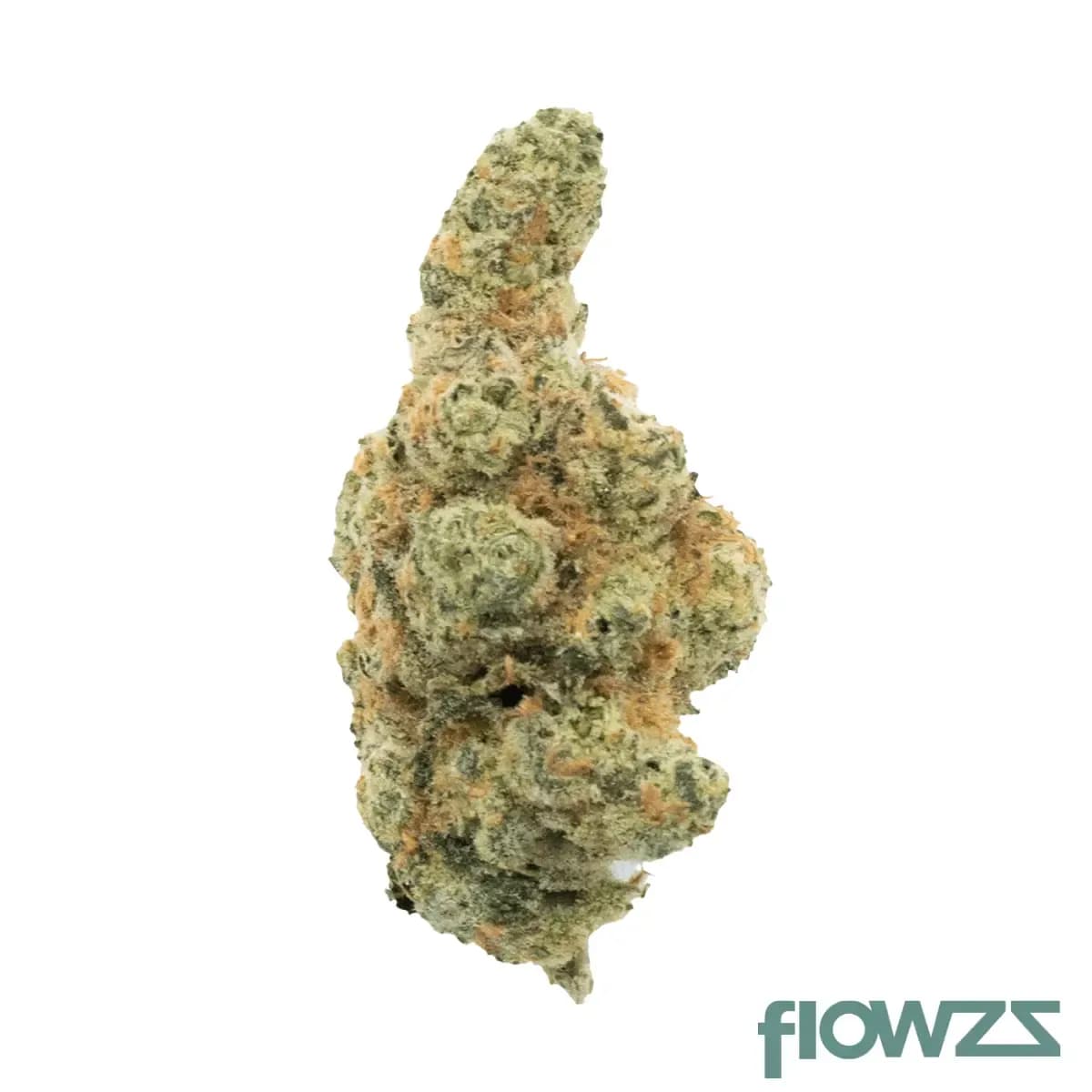 cannmedical-sativa-forte-es-orange-creampop