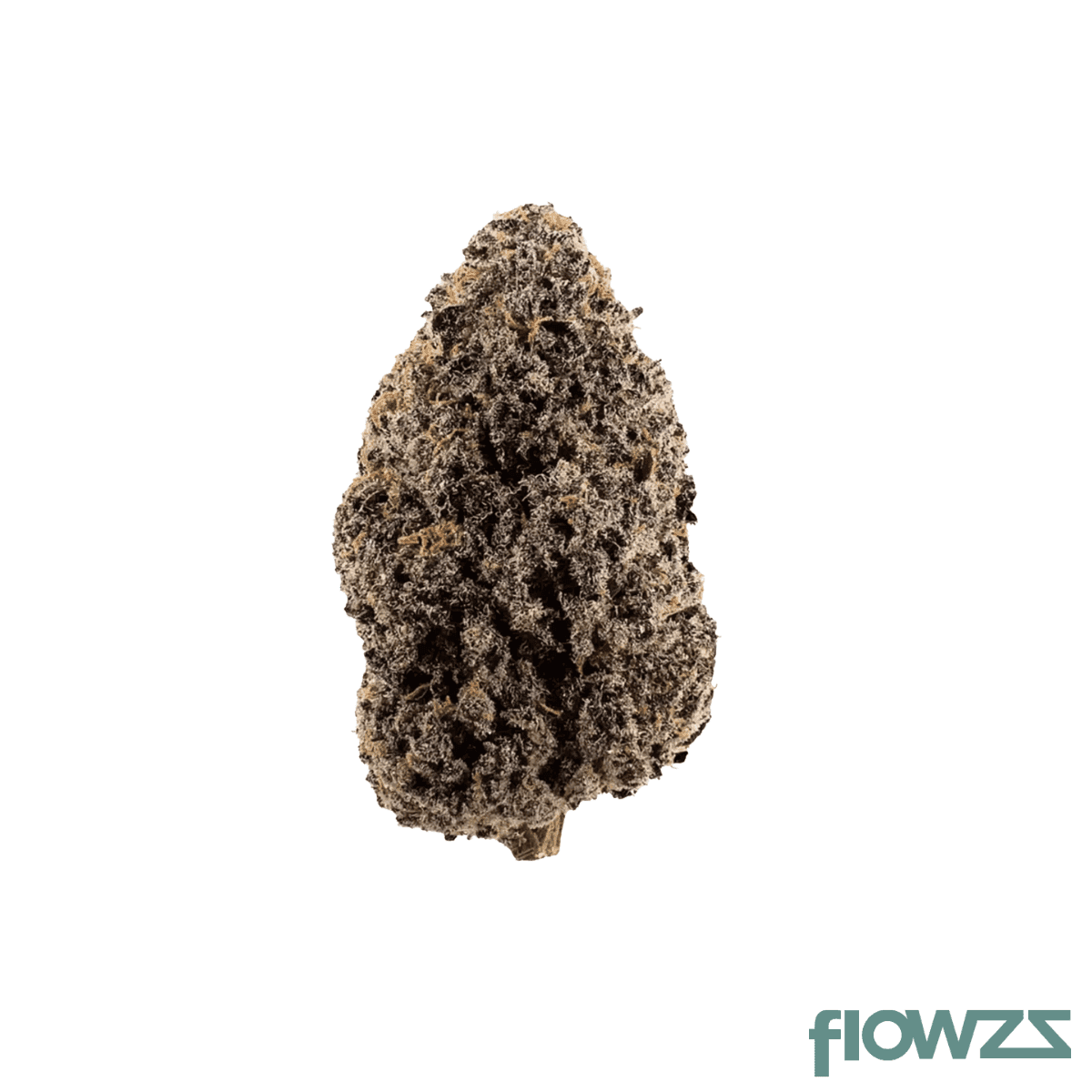 pop-up-no-2-22-1-rose-gold-runtz