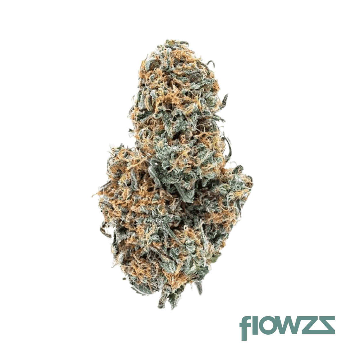 420-evolution-27-1-ca-cbb-cherry-bang-bang
