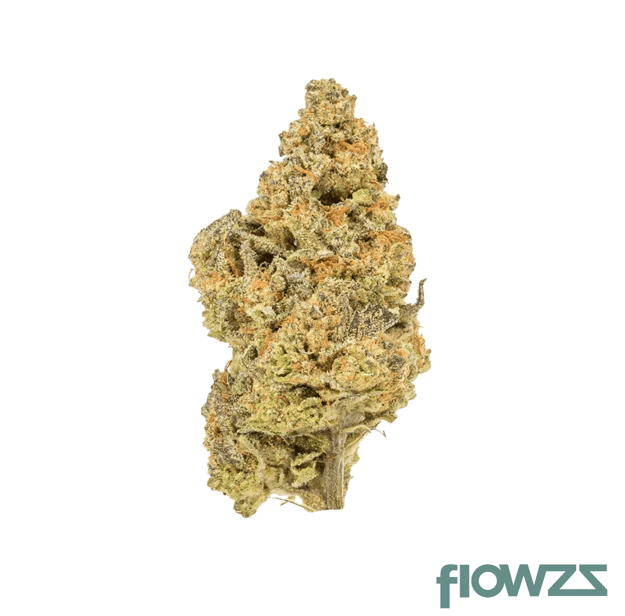 crqsh-cdgs-23-1-cream-dawg-smalls