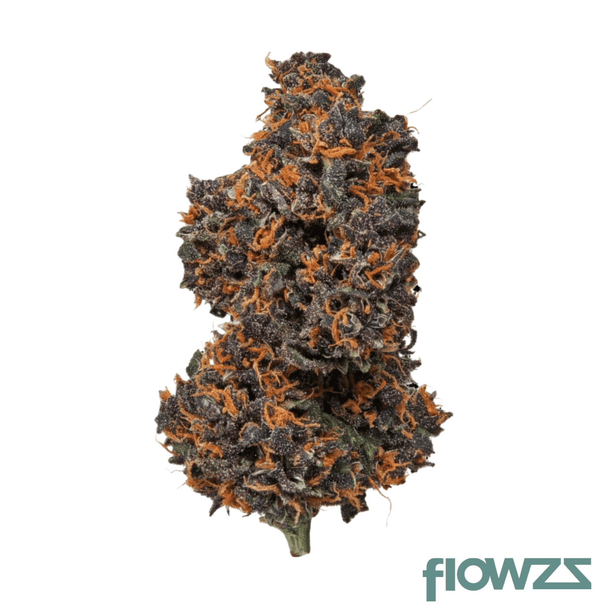 skk-cm-25-1-cookie-monster
