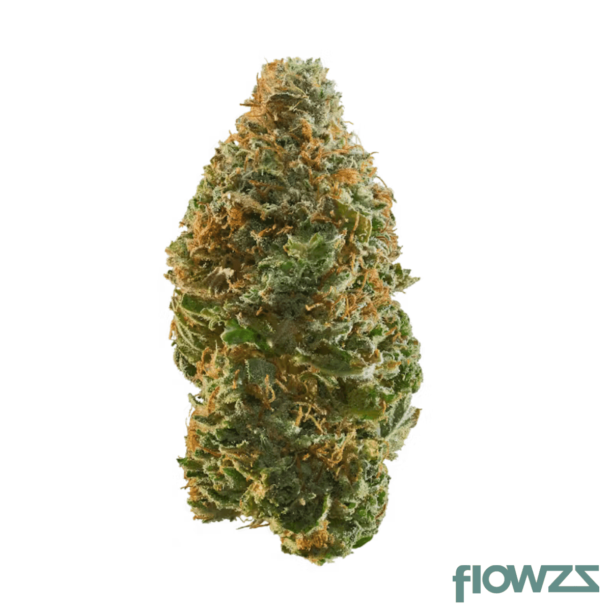 IMC E2 THC22 Zkittlez Pie