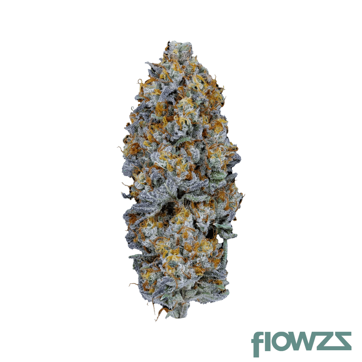 apollo-20-1-rks-chocolate-mint-og-2-0