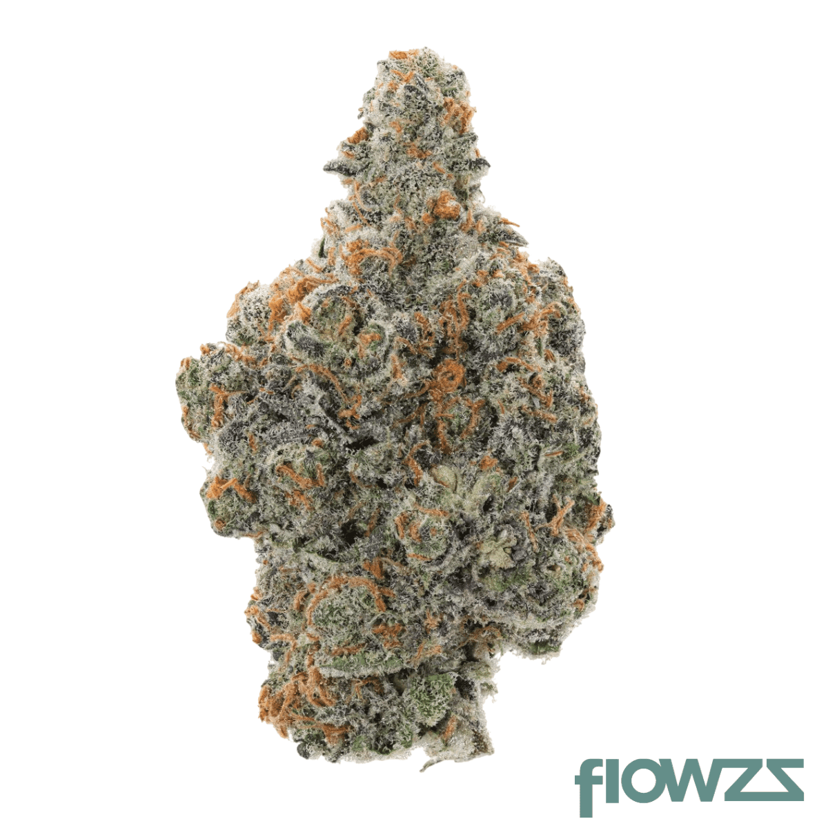 beacon-gm-t30-guava-mintz