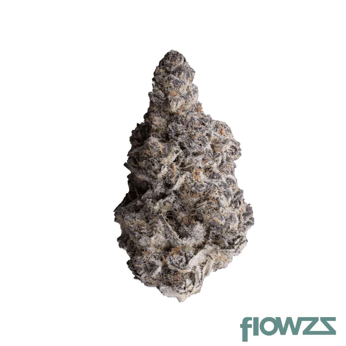 growmotion-tj-22-super-buff-cherry