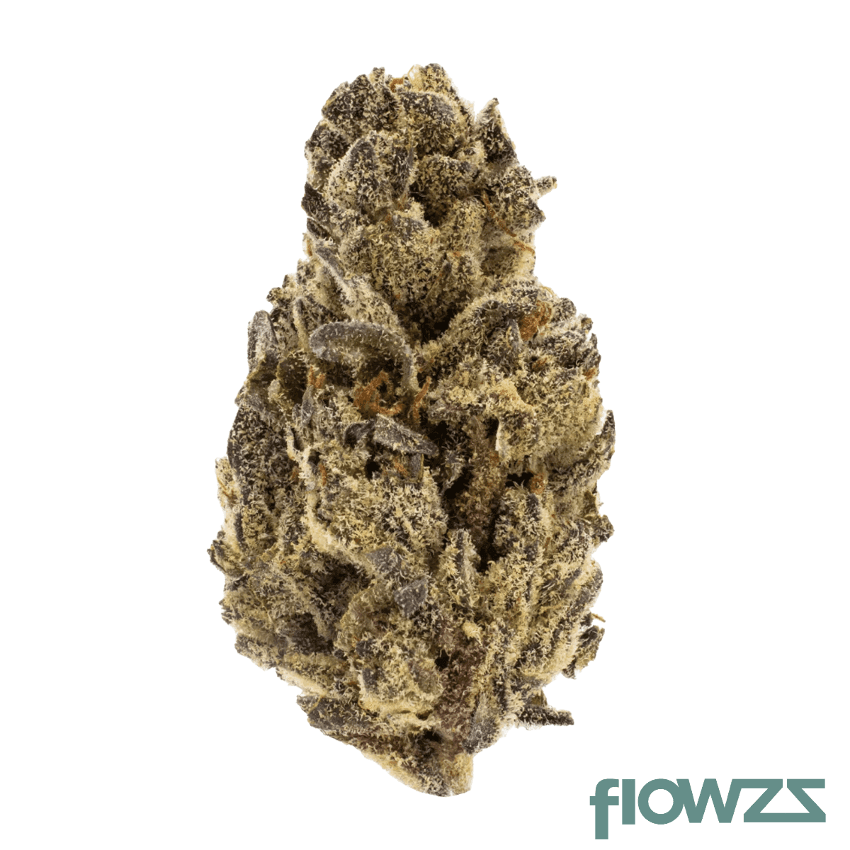 pheno-22-1-wgt-white-gelato