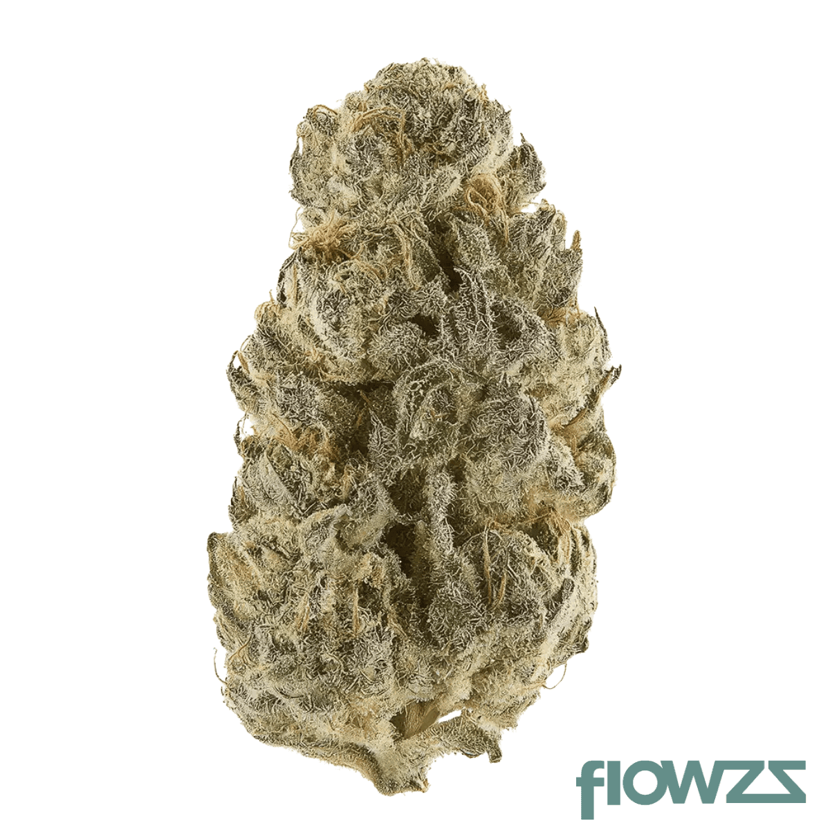 tweed-bok-27-1-blood-orange-kush