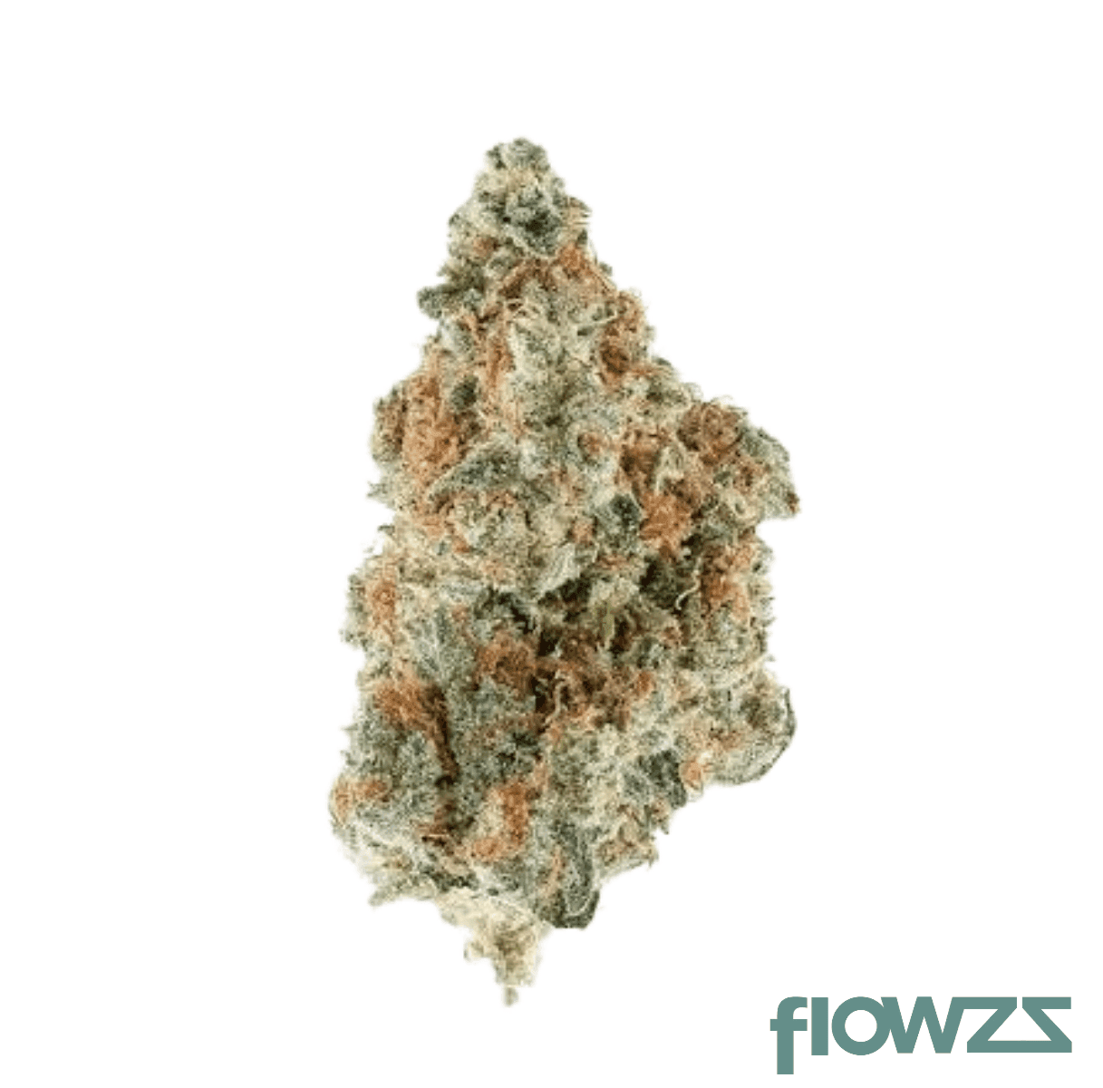 lit-27-1-fog-florida-og