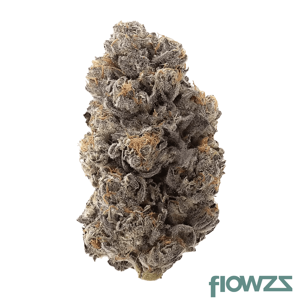 frdm-27-1-slu-slurricane
