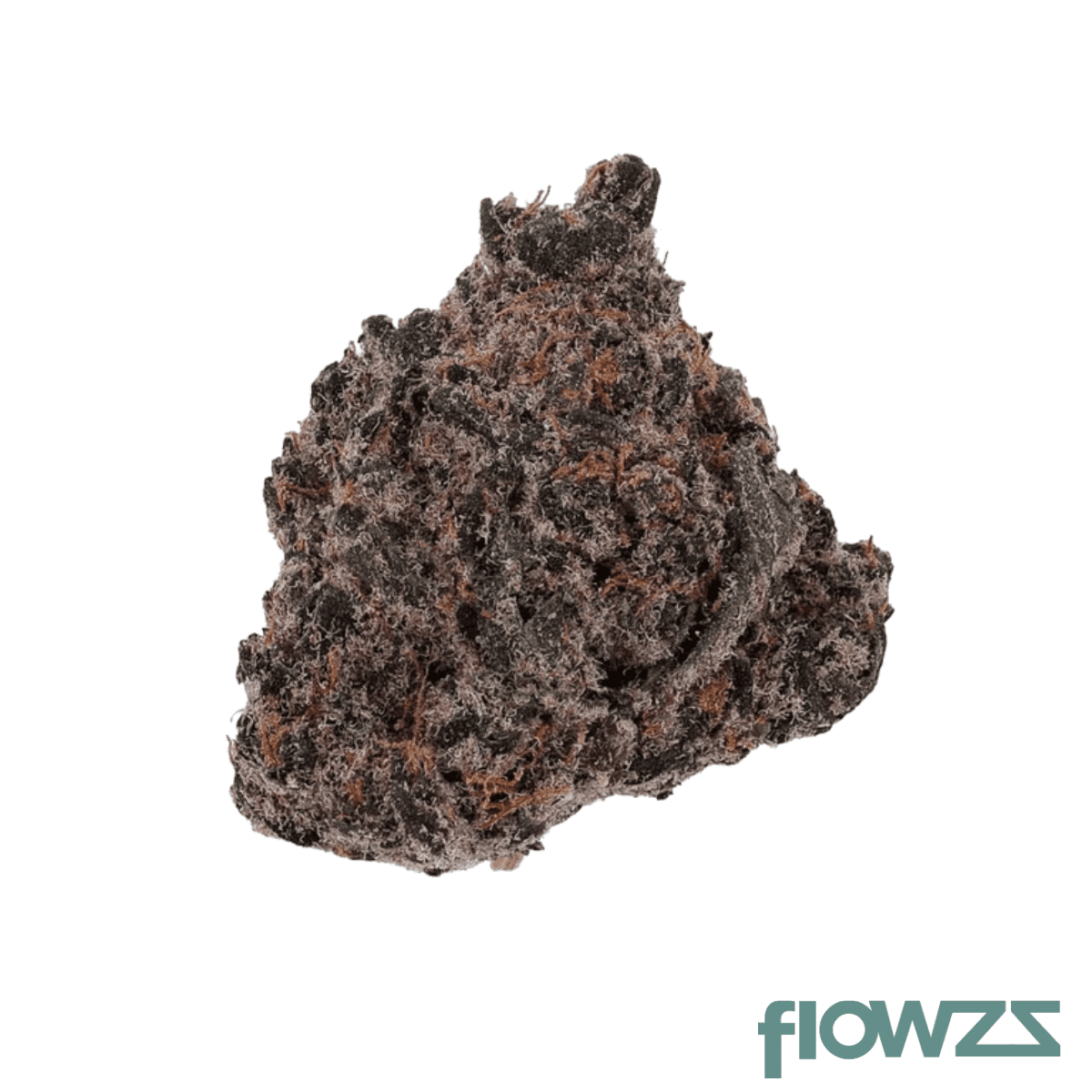 purplefarm-28-1-hb-halle-berry