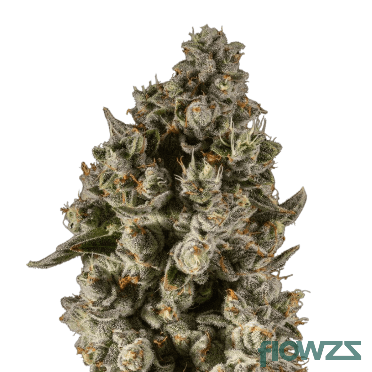lemon-ztrawz