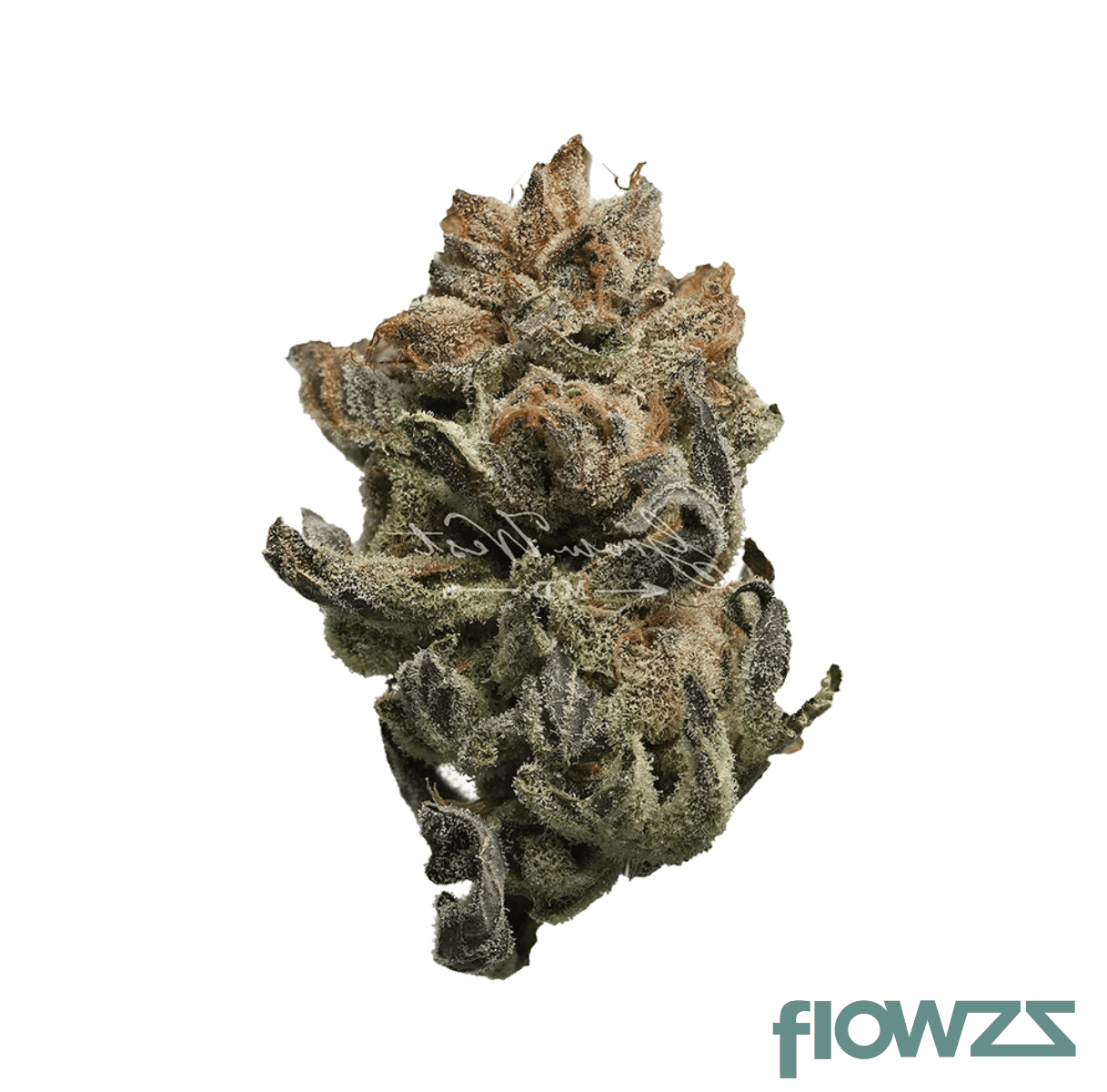 truu-cg-26-1-sfv-chem-og