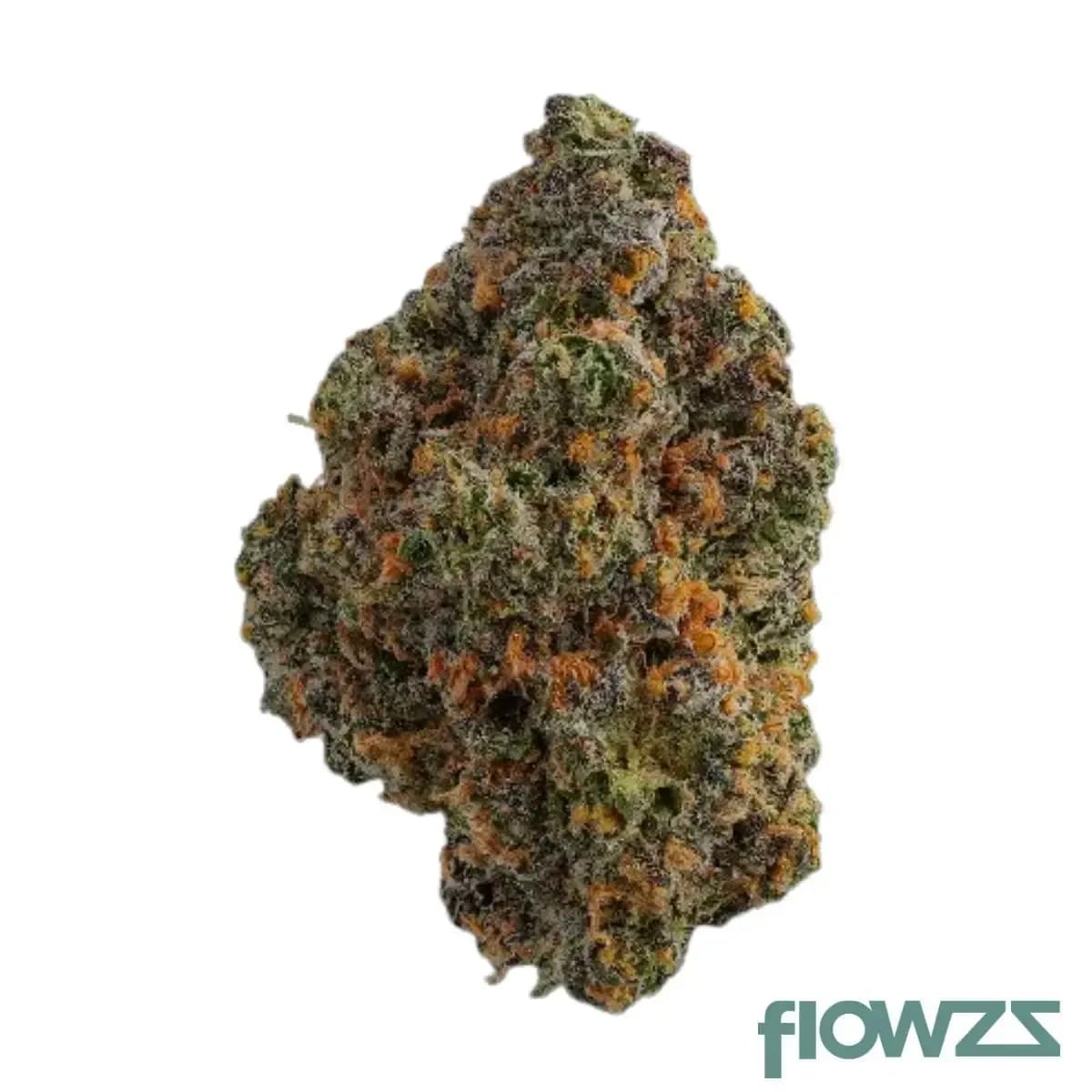 budza-28-1-rst-rainbow-sherbert