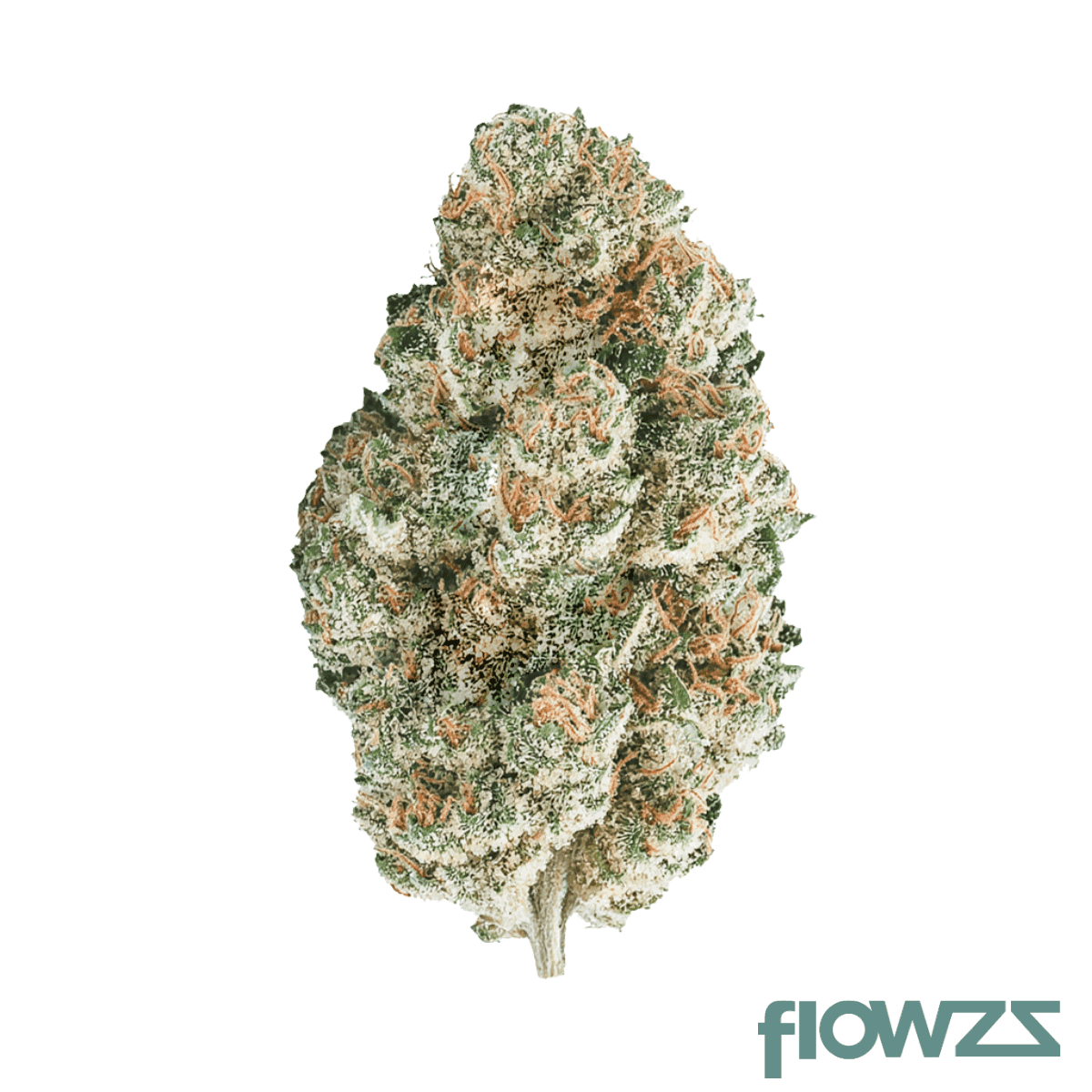 blayz-22-1-kk-kings-kush
