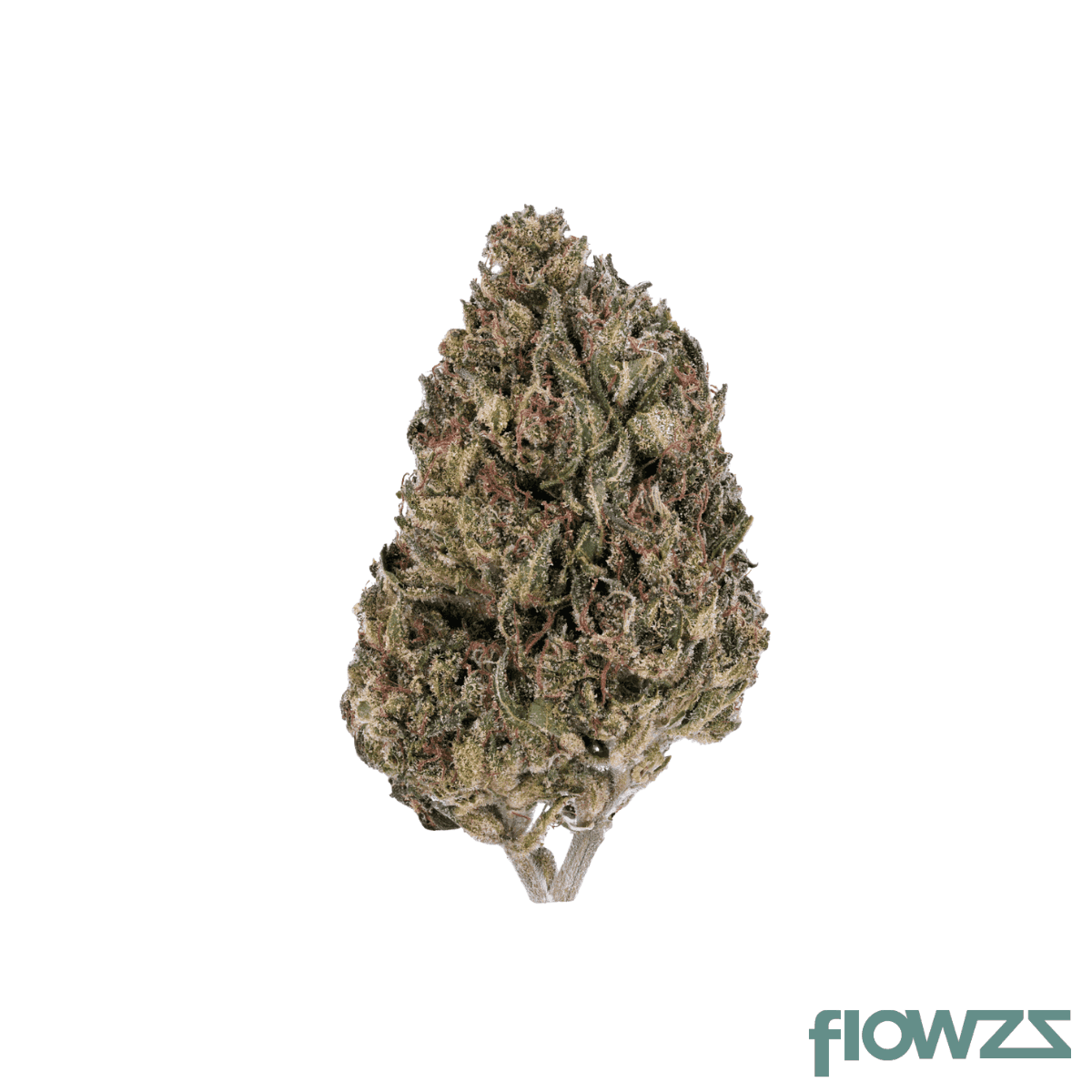 bc-green-30-1-pg-pink-grapes