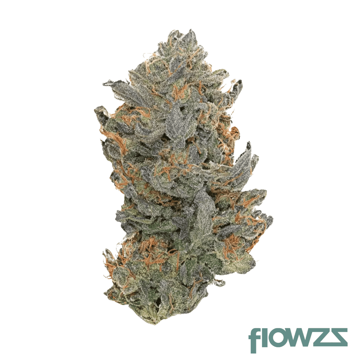 mgf-gp4-26-1-spritzer