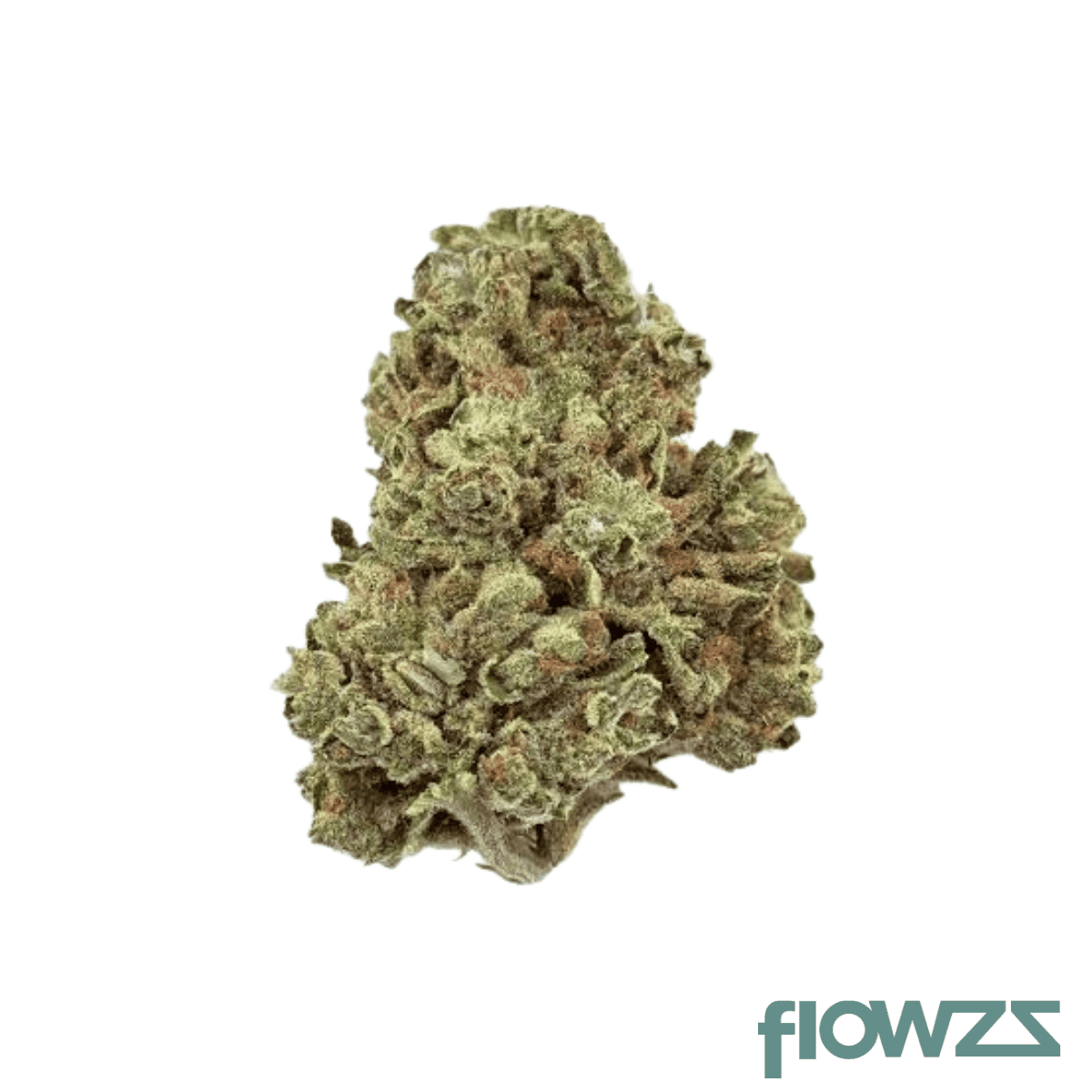 cannovum-apex-chy-28-1-choc-monkey