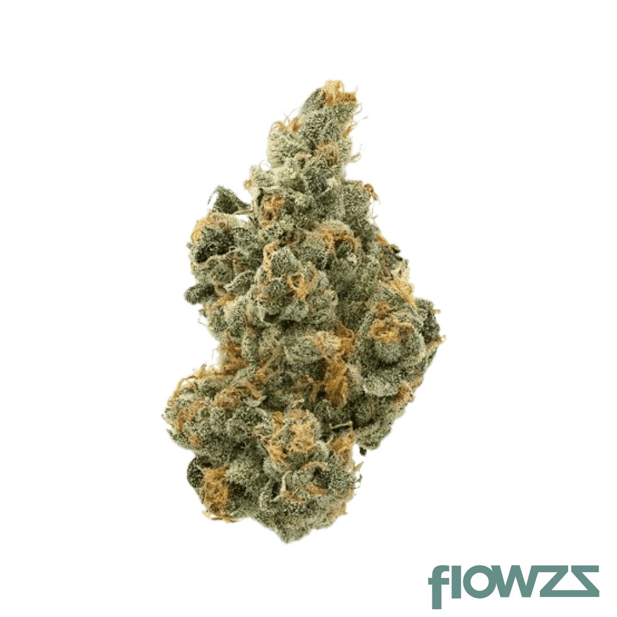 dark-red-26-1-purple-milk
