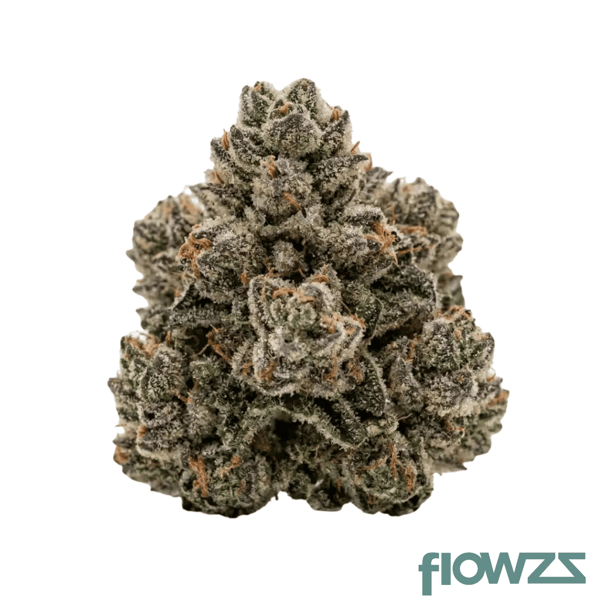 mgf-1000-hindu-kush-zkittlez-24-1