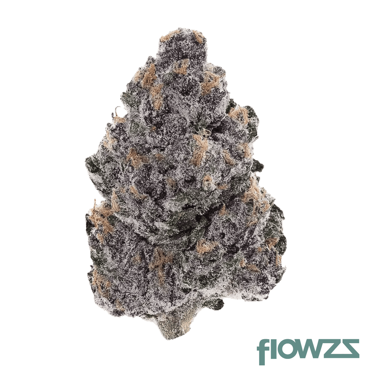 mgf-800-mellowz-08