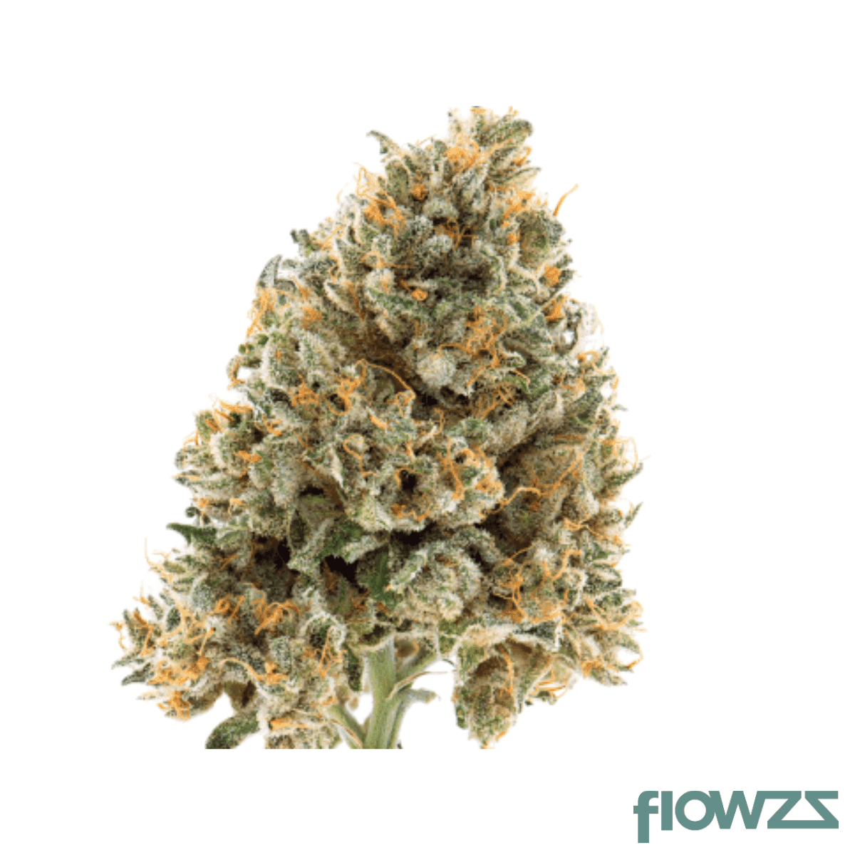 IMC RC6 THC20 Tropic Smash