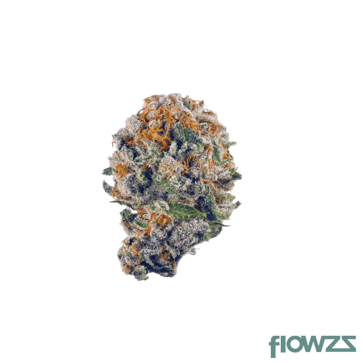 mgf-70-23-1-jokerz-31