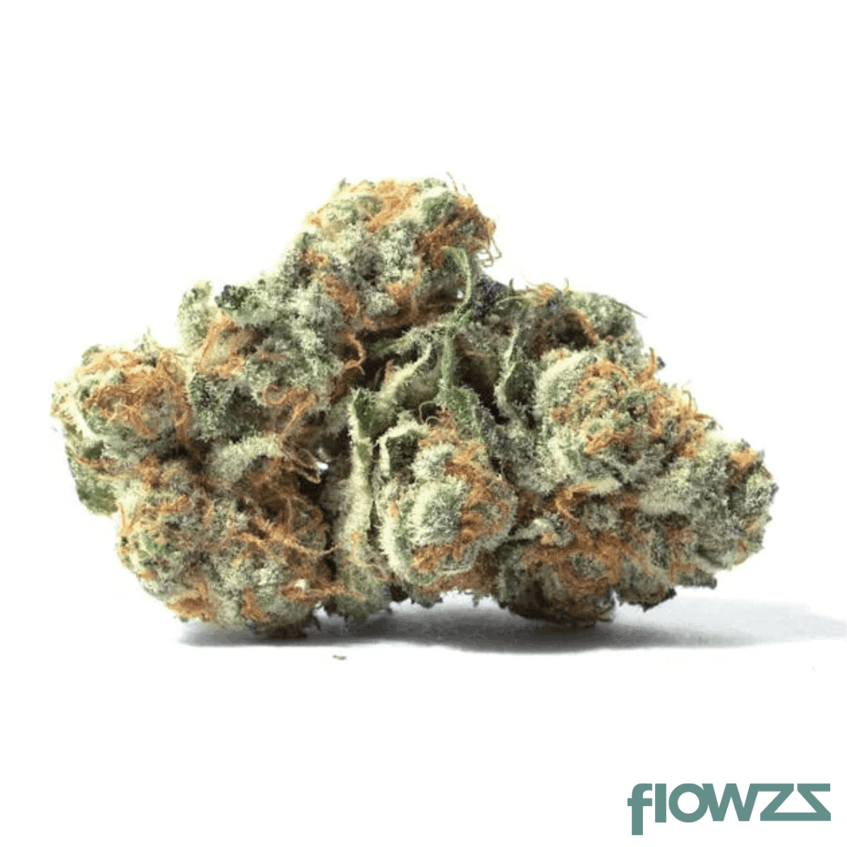 beacon-li-t-26-liquid-imagination