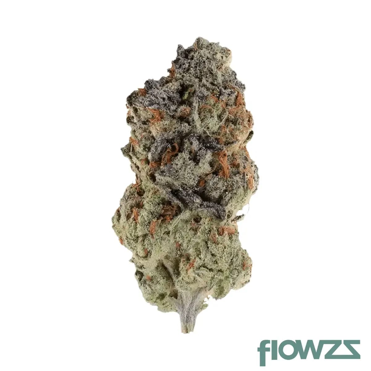 pheno-25-1-bdt-berry-donuts