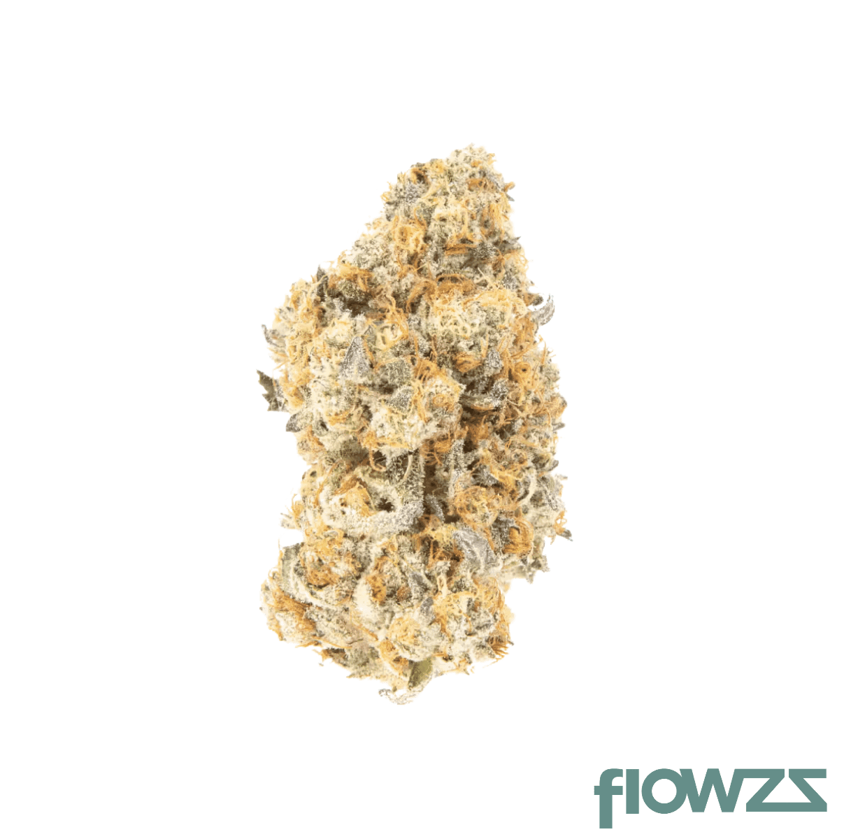 top-shelf-medical-32-1-di-disco
