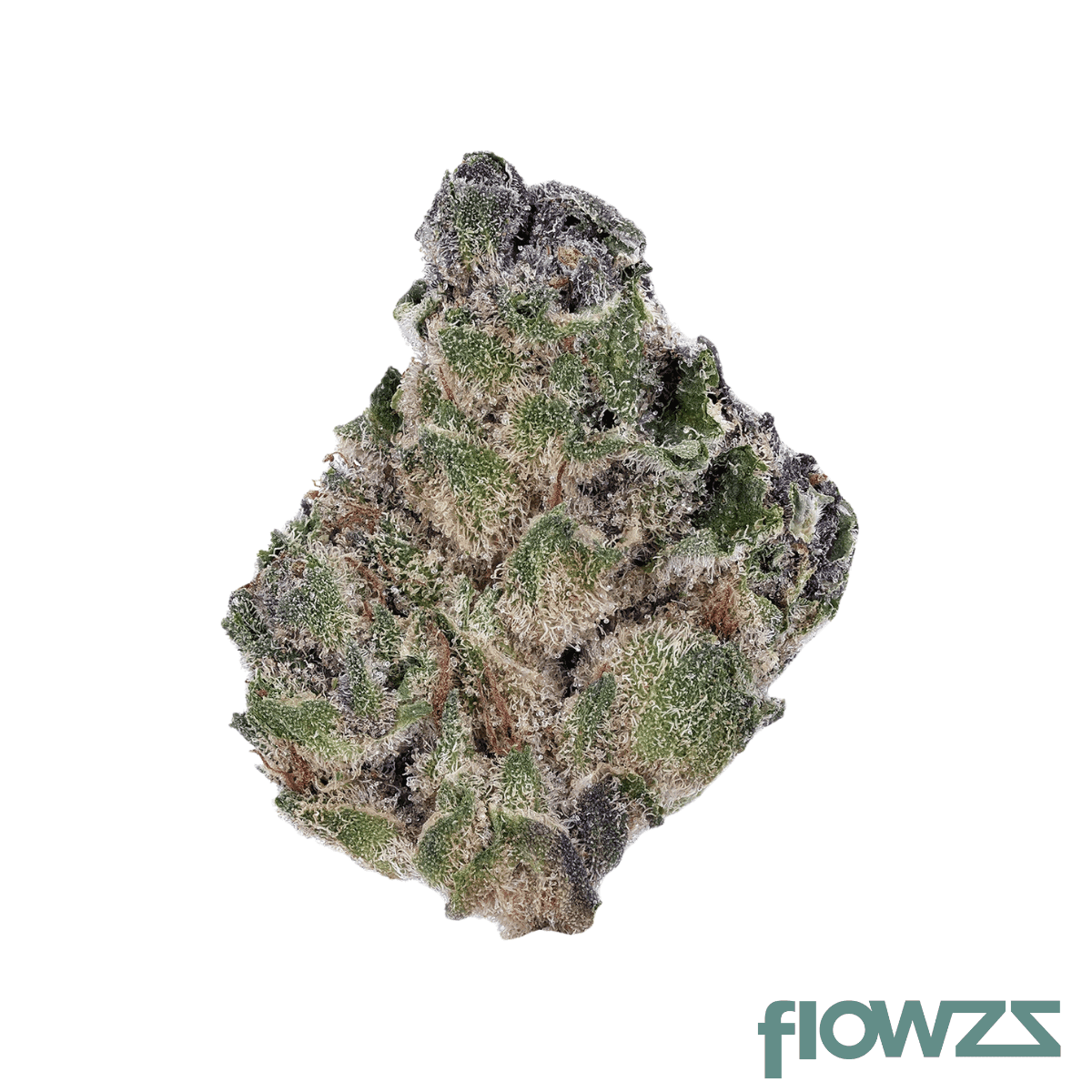 slouu-25-1-bby-ca-blueberry