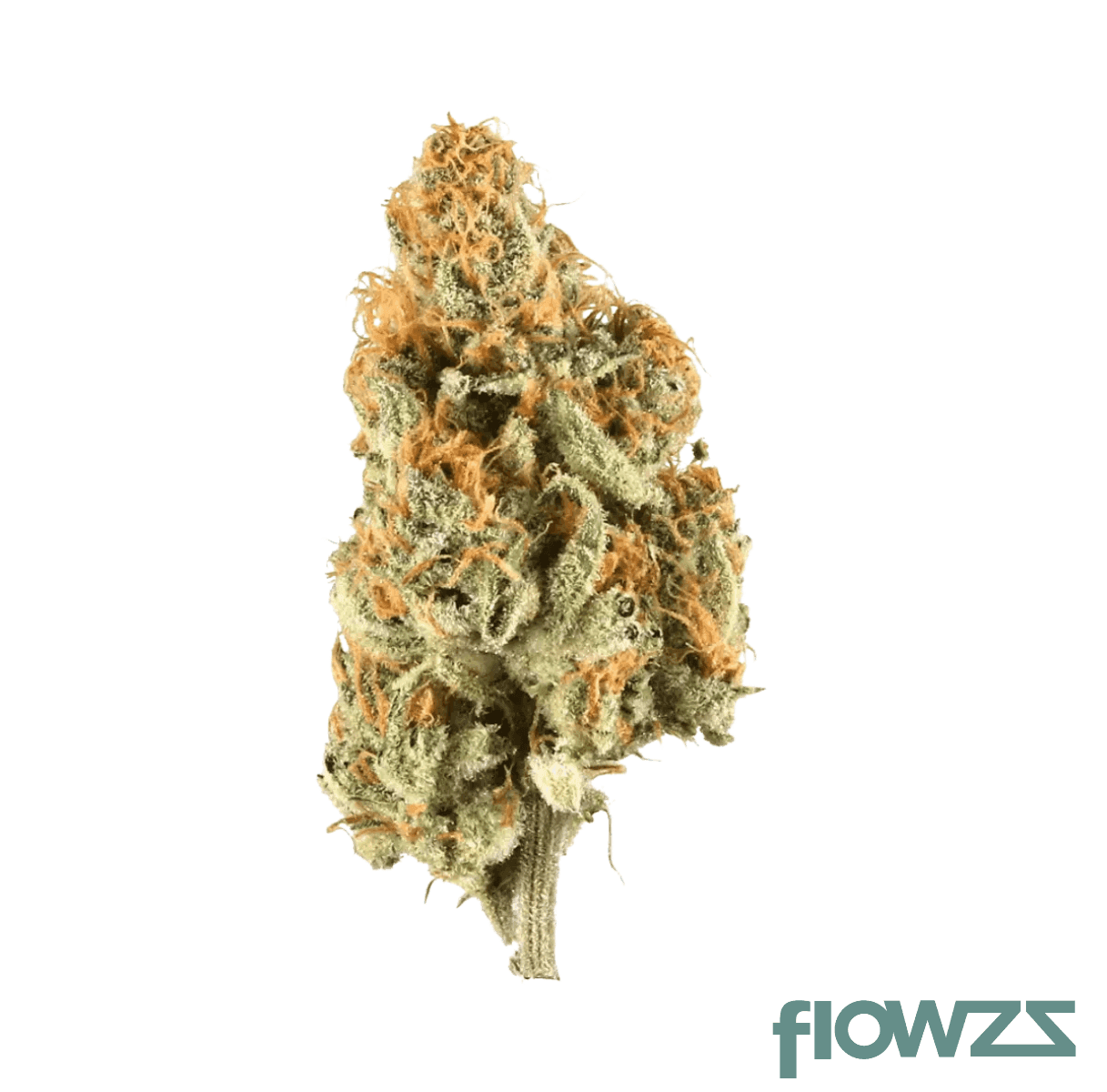 demecan-gt-regular-drop-25-1-citron-cookies-x-biker-kush