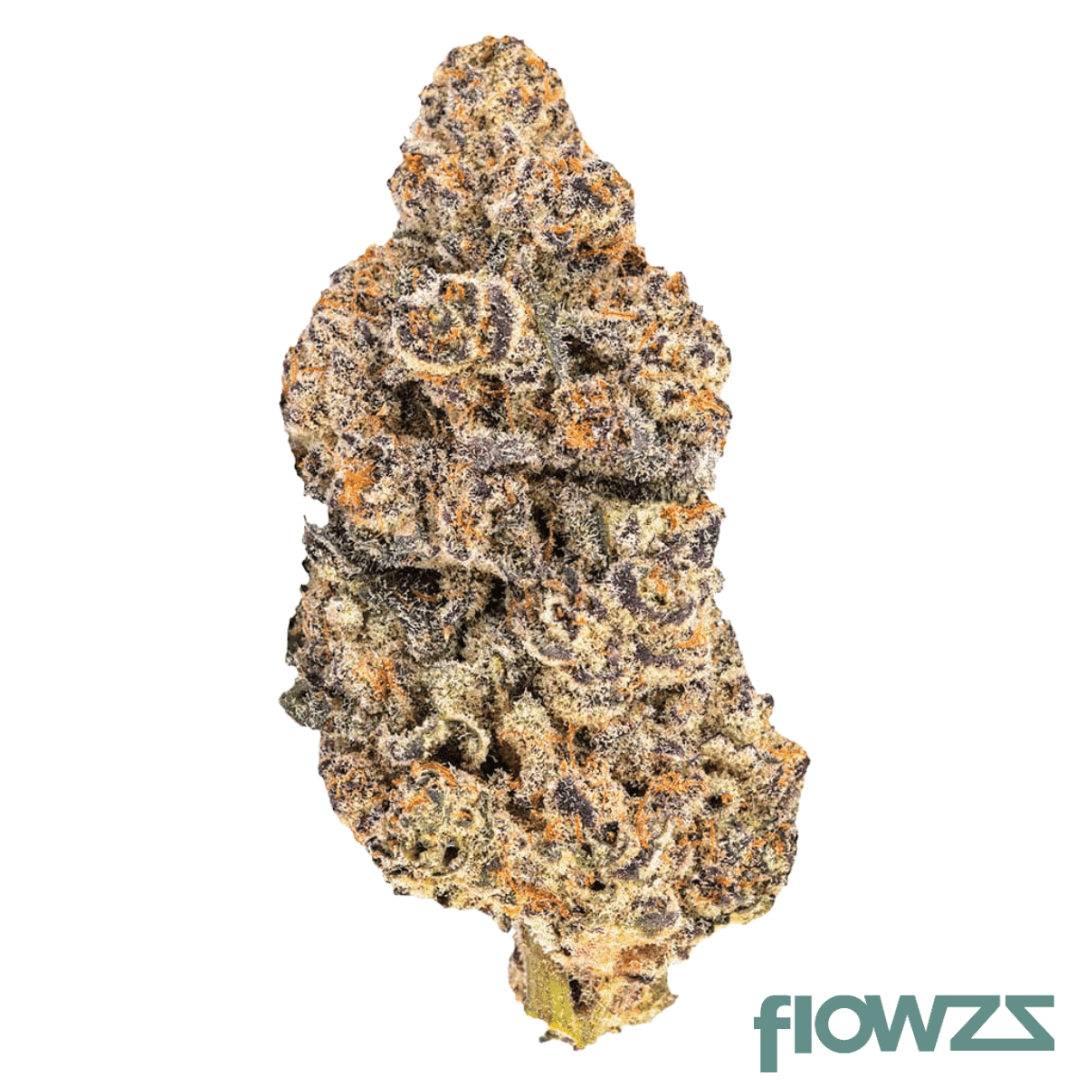 barongo-24-1-bc-black-caviar