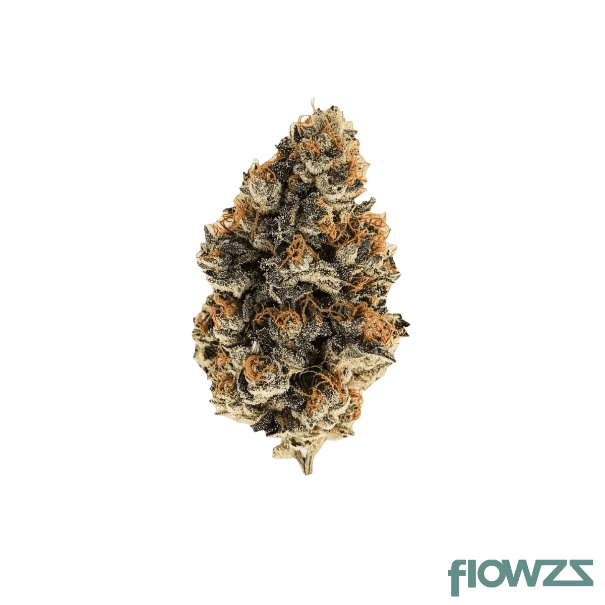 luana-27-1-donny-b-bunatic