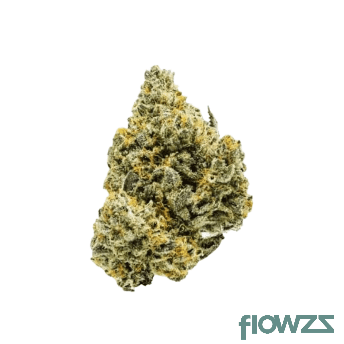 lit-31-1-sta-sticky-ape