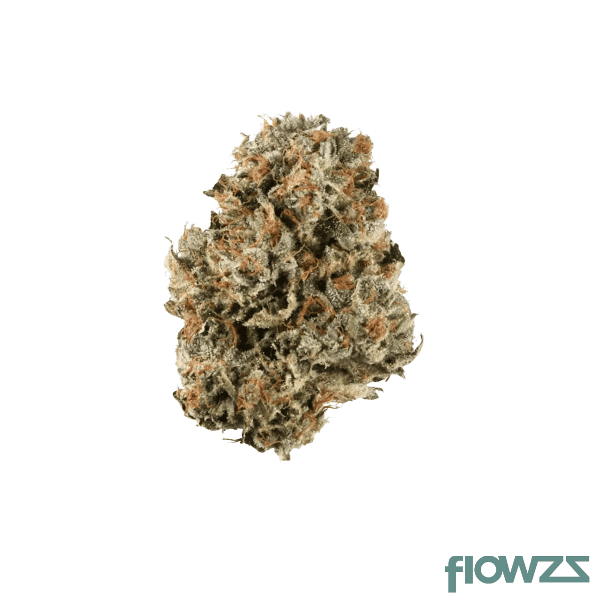 pop-up-no-19-25-1-ibc