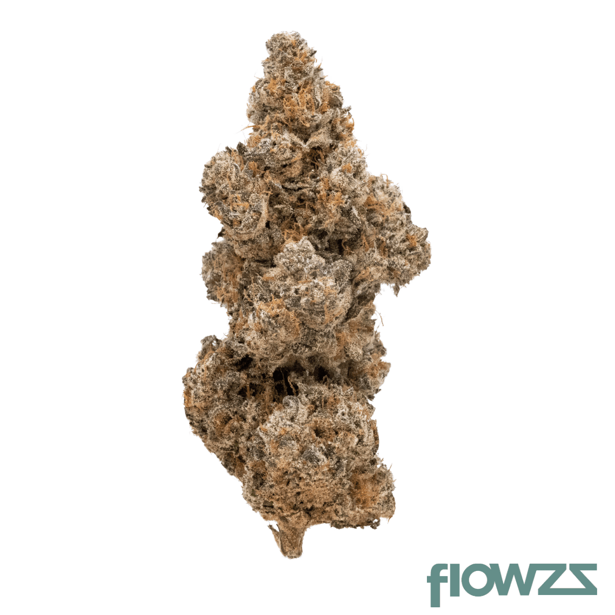 med-haze-energy-phrc-22-1-royal-contest