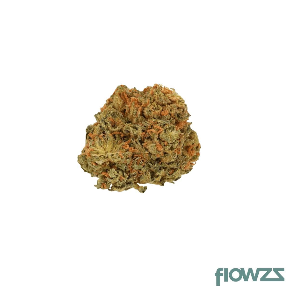 luana-32-1-pine-solpina-magic