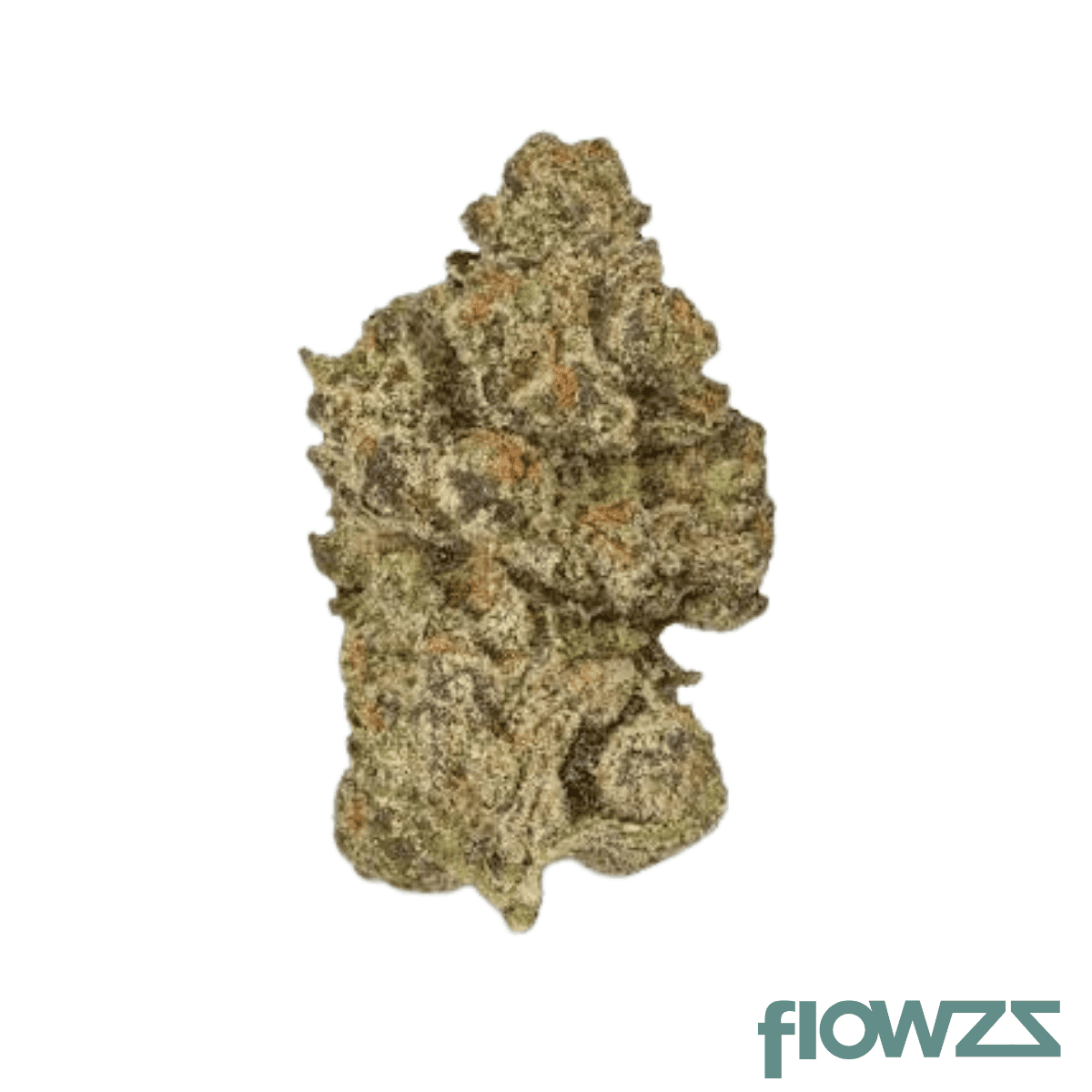 bud-jet-21-1-sus-sunset-sherbet