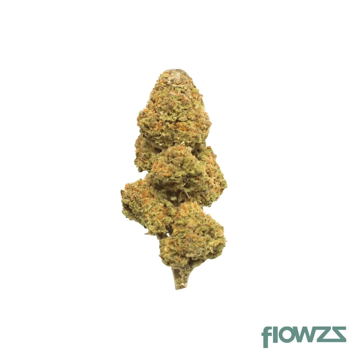 slouu-25-1-cbc-ca-citron-biker-cookies
