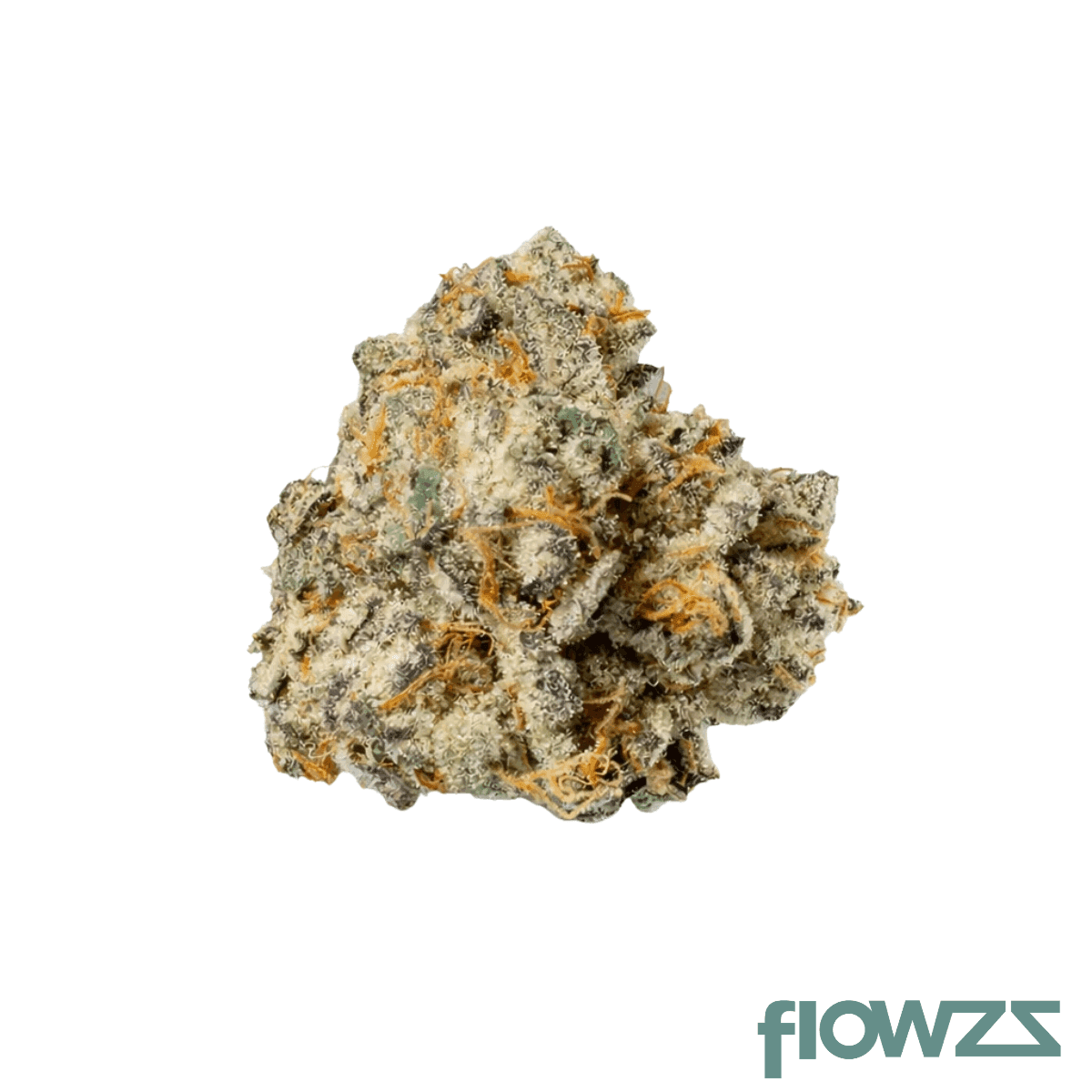 phcann-exotics-32-1-black-amber