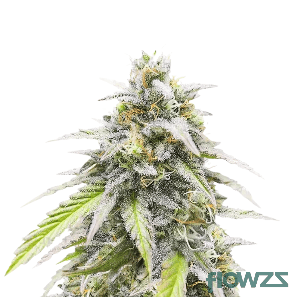 gelato-lemon