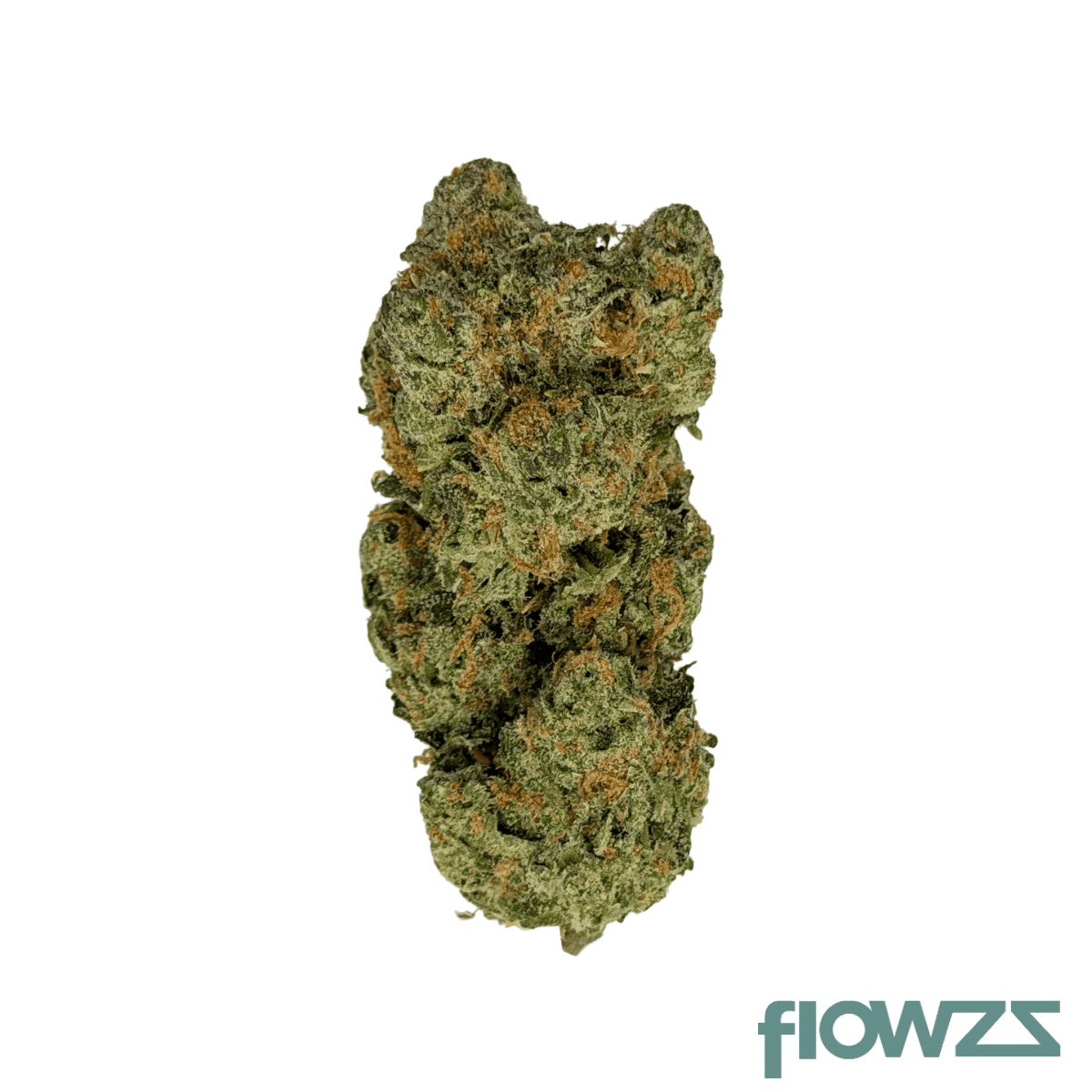 bathera-25-1-gmo-smalls