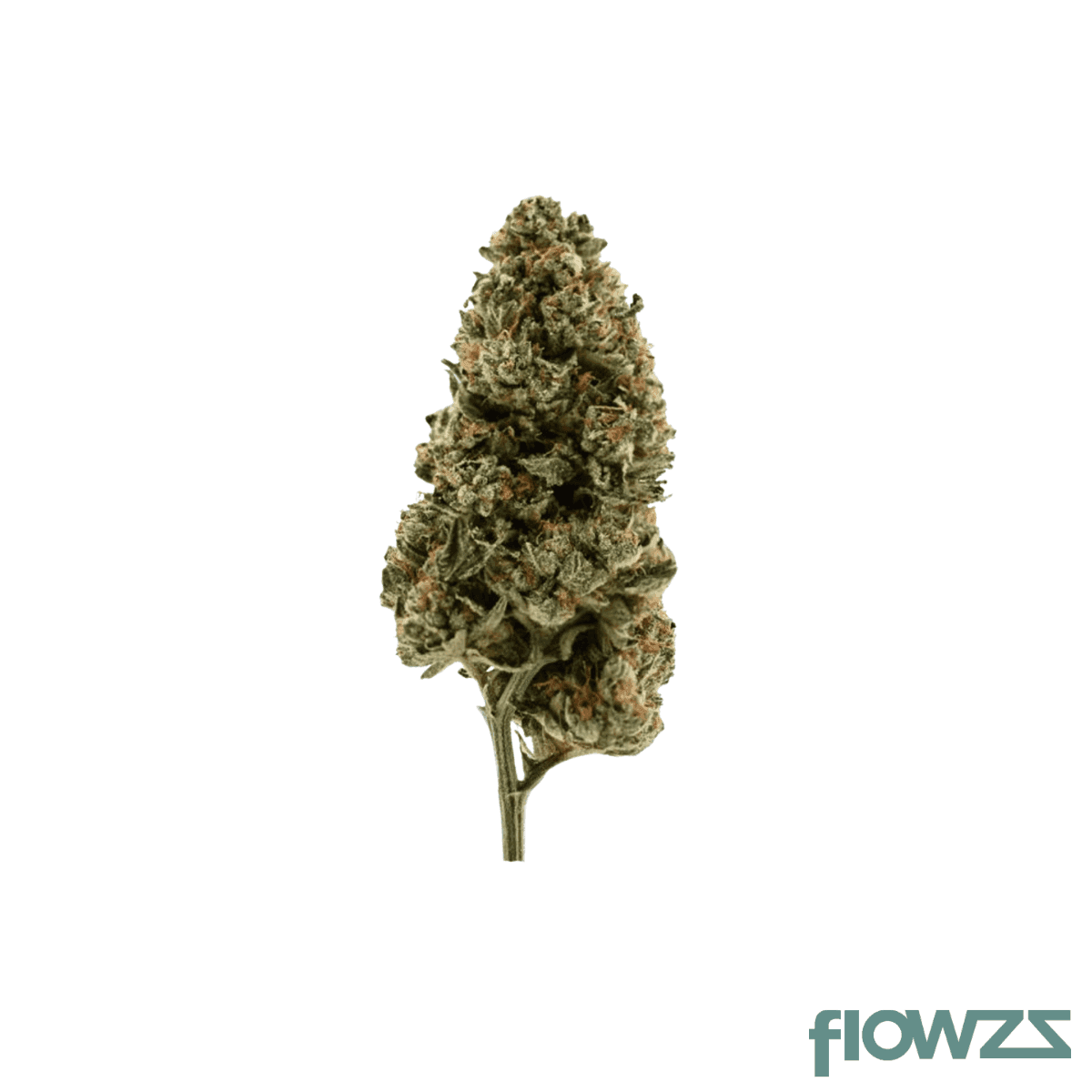 demecan-ps-lean-drop-22-1-orange-juice-x-girl-scout-cookies