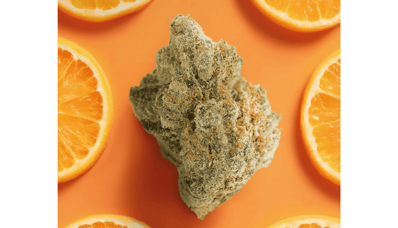 Cannabis mit Limonen